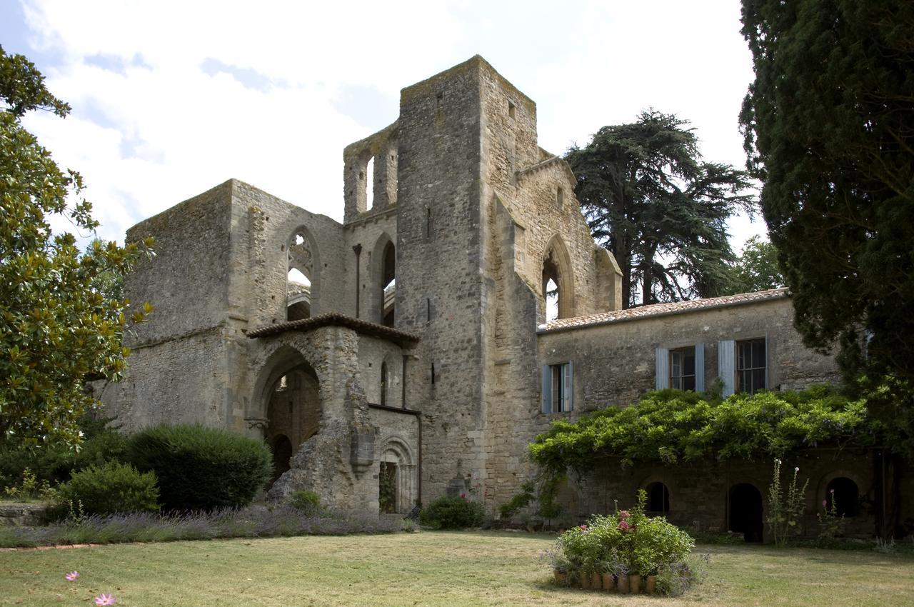 Abbaye De Villelongue Saint-Martin-le-Vieil Exteriér fotografie