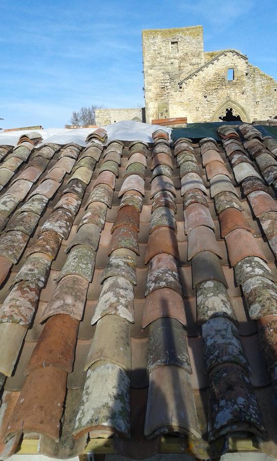 Abbaye De Villelongue Saint-Martin-le-Vieil Exteriér fotografie